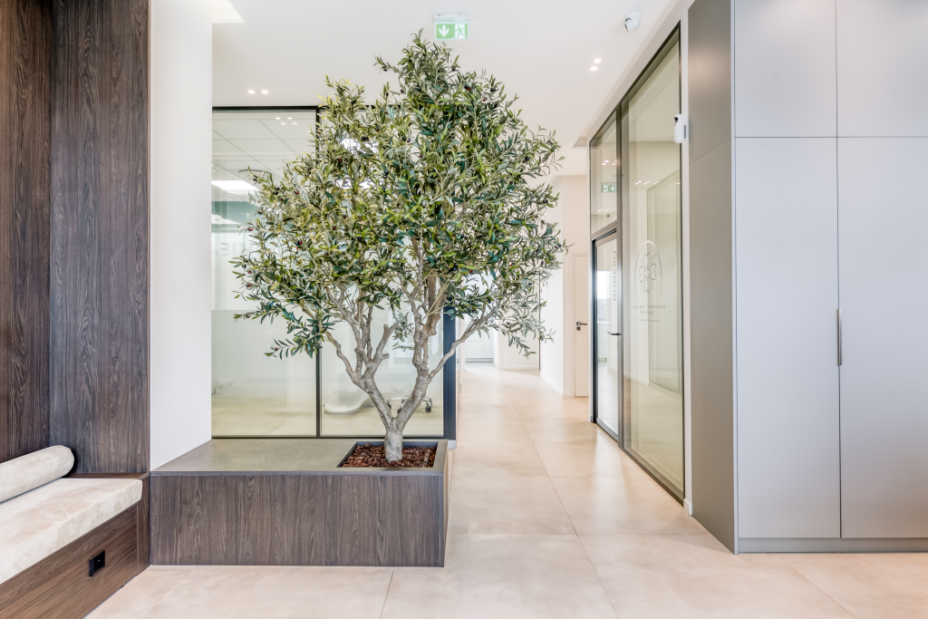 Firefly 20251207233317